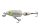 Salmo - Wobbler Frisky FR7DR FWS