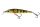 Salmo - Rattlin Sting RS9 RYP