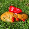 Stég Product - Bionic Boilies Paprika Bread 20mm 800g